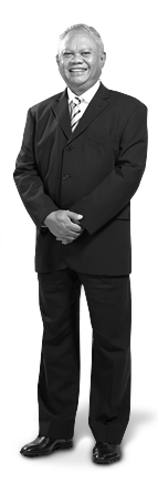 Mr Ketut Budi Wijaya 